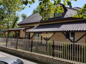 Táncsics Vendégház, Siofok